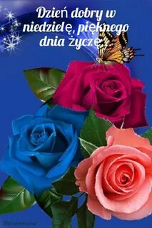 Картинки открытки живые