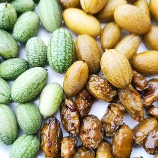 Как едят мелотрию
