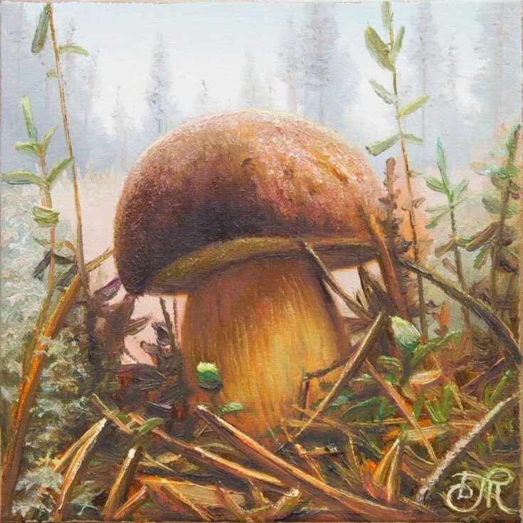 Новоселовой. Грибы в живописи маслом. Грибы в живописи. «натюрморт с грибами» художника паоло порпоры. Картины художников грибы.
