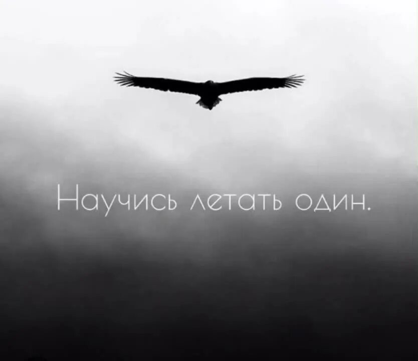 найдется и кто то научит летать. реализация мечты. мотивационные картинки. фразы о полете. отпустить всё.