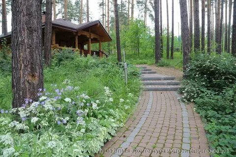 Лесной участок в собственность