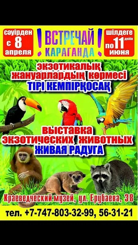 Выставка экзотических животных. Выставка животных. Выставка экзотических животных чита. Выставка экзотических животных афиша. Выставка экзотических животных сыктывкар.