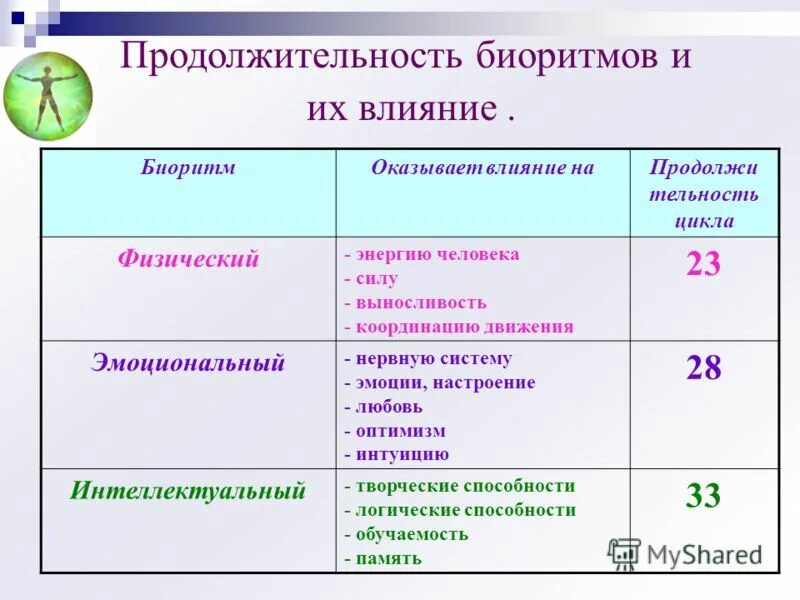 Название время деятельности. Биологические ритмы. Таблица биоритмов человека. Типы биологических ритмов. Таблица биоритмы растений.