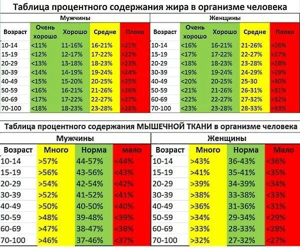 Нормы жира воды и мышц в организме у женщин таблица. Процент жира у мужчин таблица. Норма содержания жира воды и мышц в организме таблица. Норма жира воды и мышечной , костной массы, таблица.