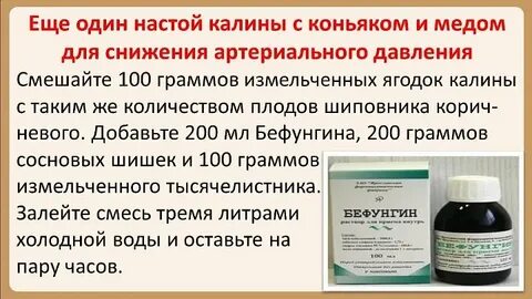 Как правильно принимать калину от давления