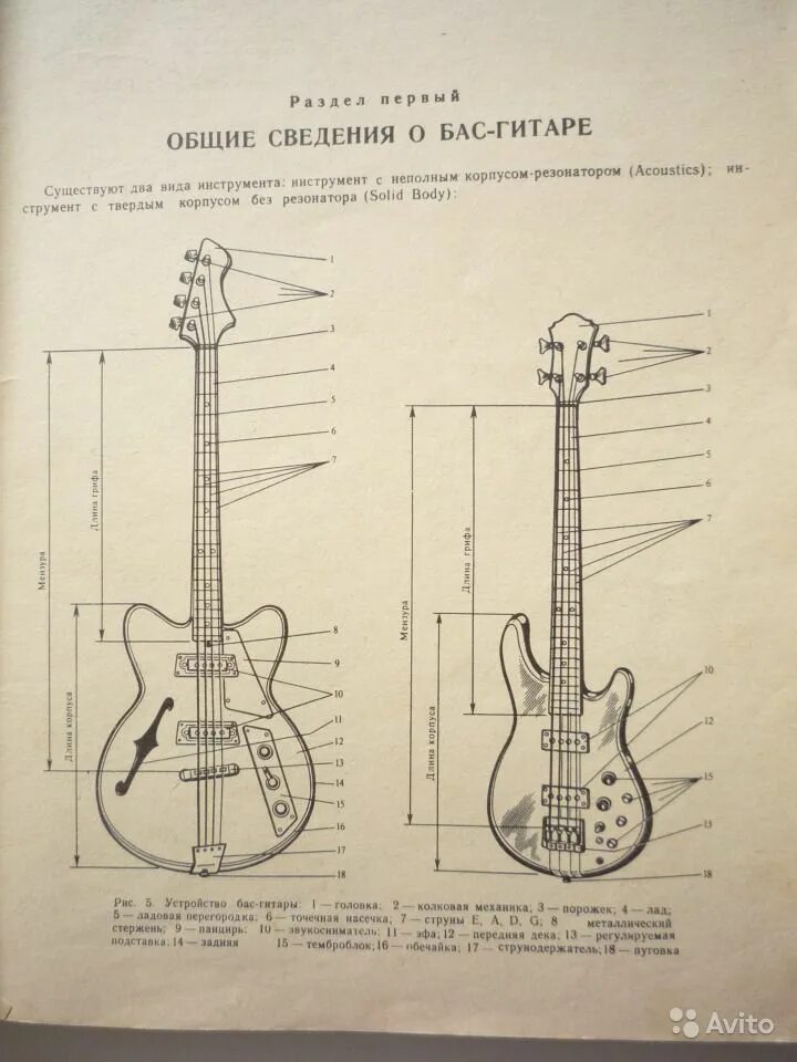 Сведения баса