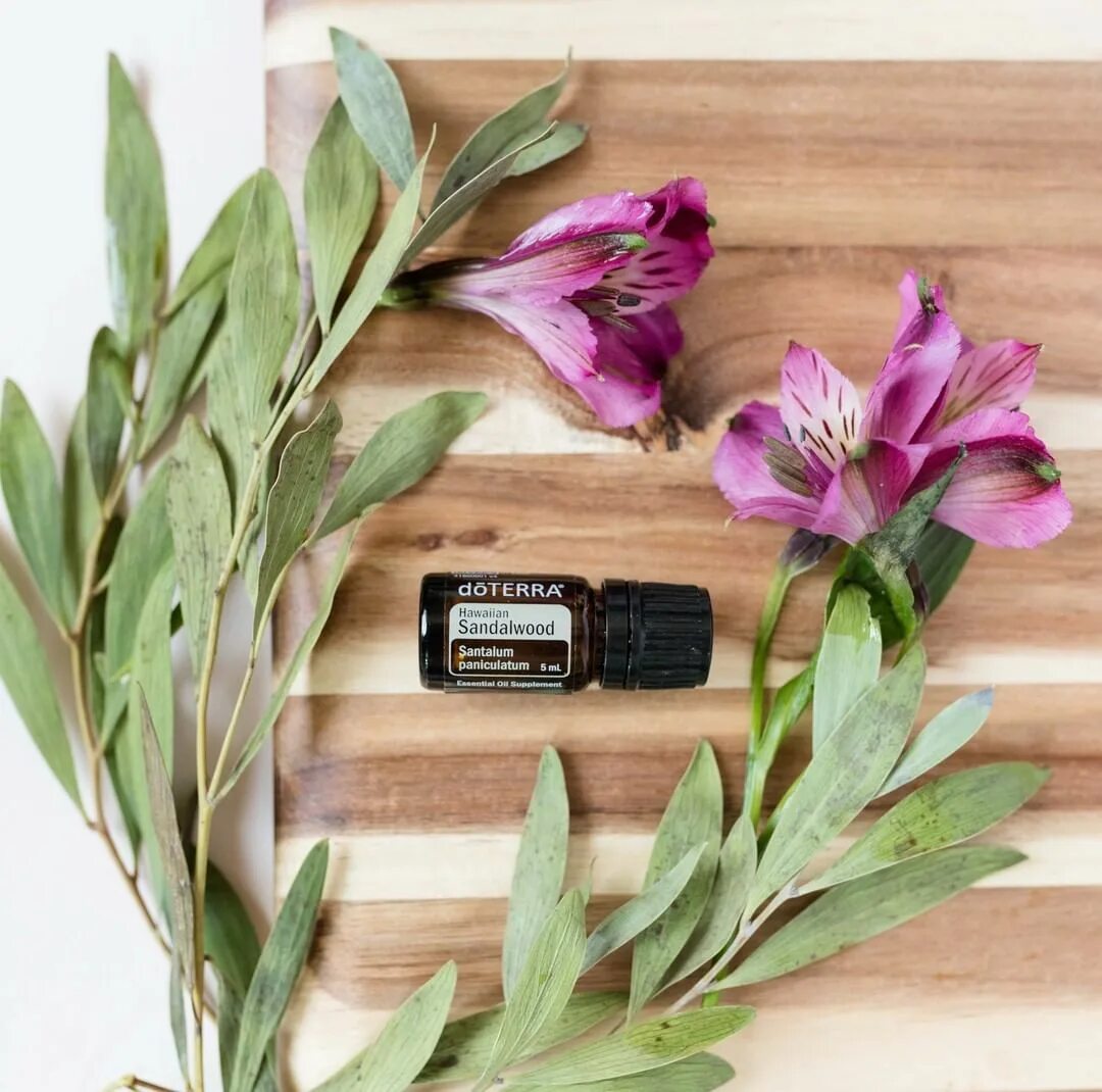 Сандал эфирное масло дотерра. Doterra эфирное масло индийский сандал. Doterra эфирное масло индийский сандал. Сандал дотерра. Сандал дотерра.
