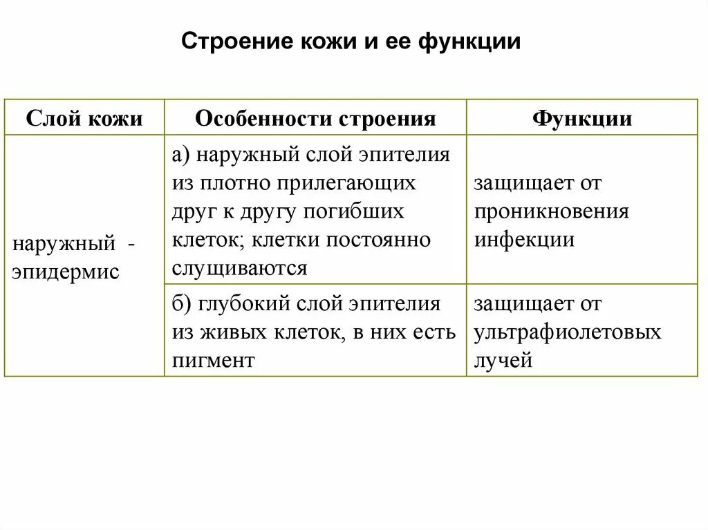 Функции кожи таблица 8 класс биология. Слои кожи строение и функции таблица. Значение кожи и её строение таблица слой кожи строение и функции. Строение и функции кожи человека таблица. Таблица слой кожи особенности строения функции.