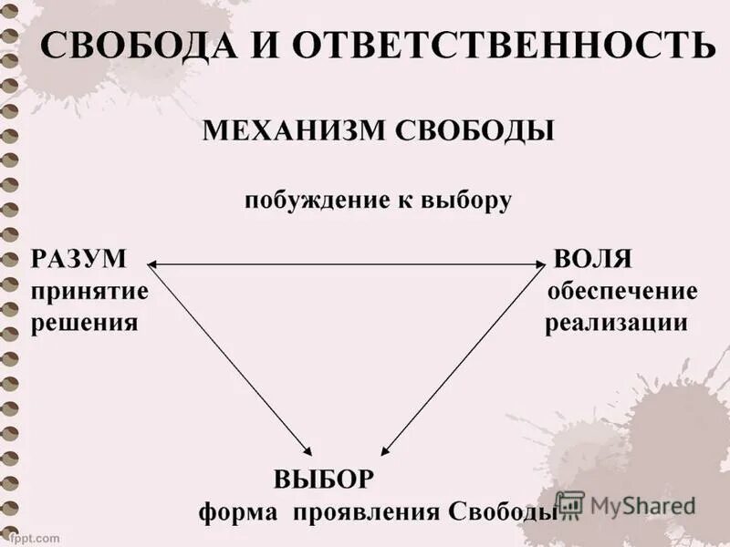 Основные функции свободы