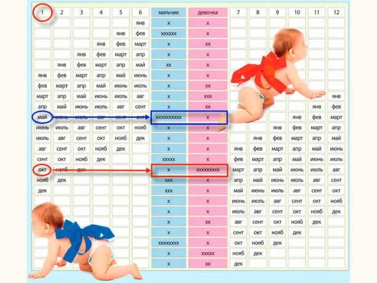 Мама в 16 по каким дням. На каком срокемодно узнать пол ребенка. Беременность и пол будущего ребенка. Календарь на рождение мальчика или девочки. На какой неделе определяют пол ребенка.