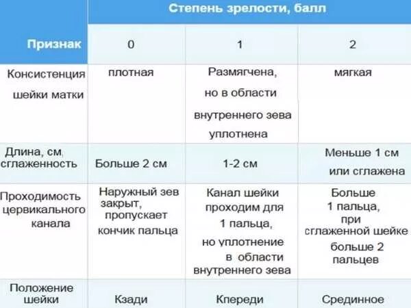Как выглядит пробка у повторнородящих. Шейка матки по срокам беременности. слизистая пробка шейки матки. шейка матки на 2 недели беременности. нормальное положение шейки матки.
