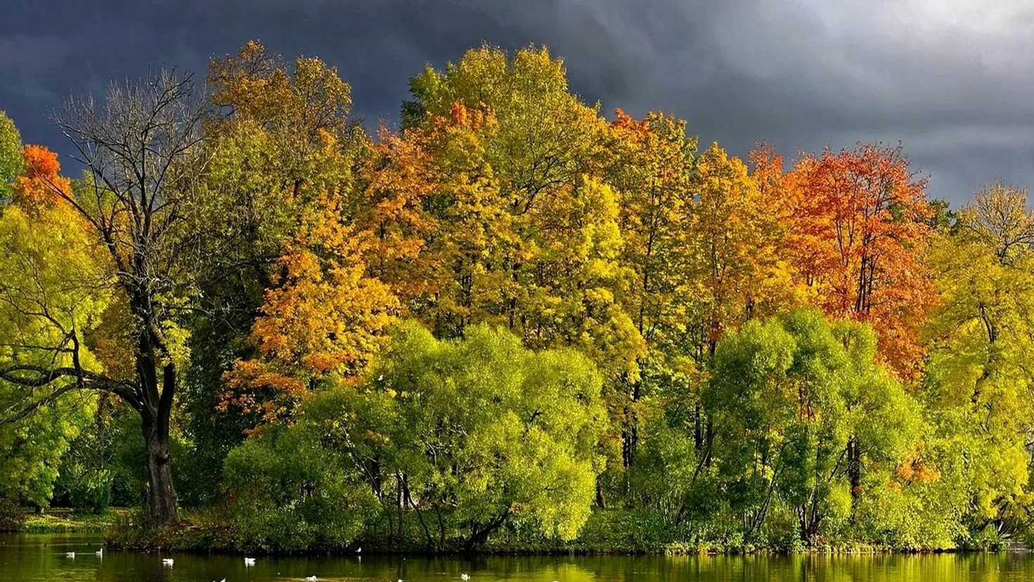 Ранняя осень. Красивая осень. Осенний пейзаж. Осеннее озеро. Autumn is beautiful