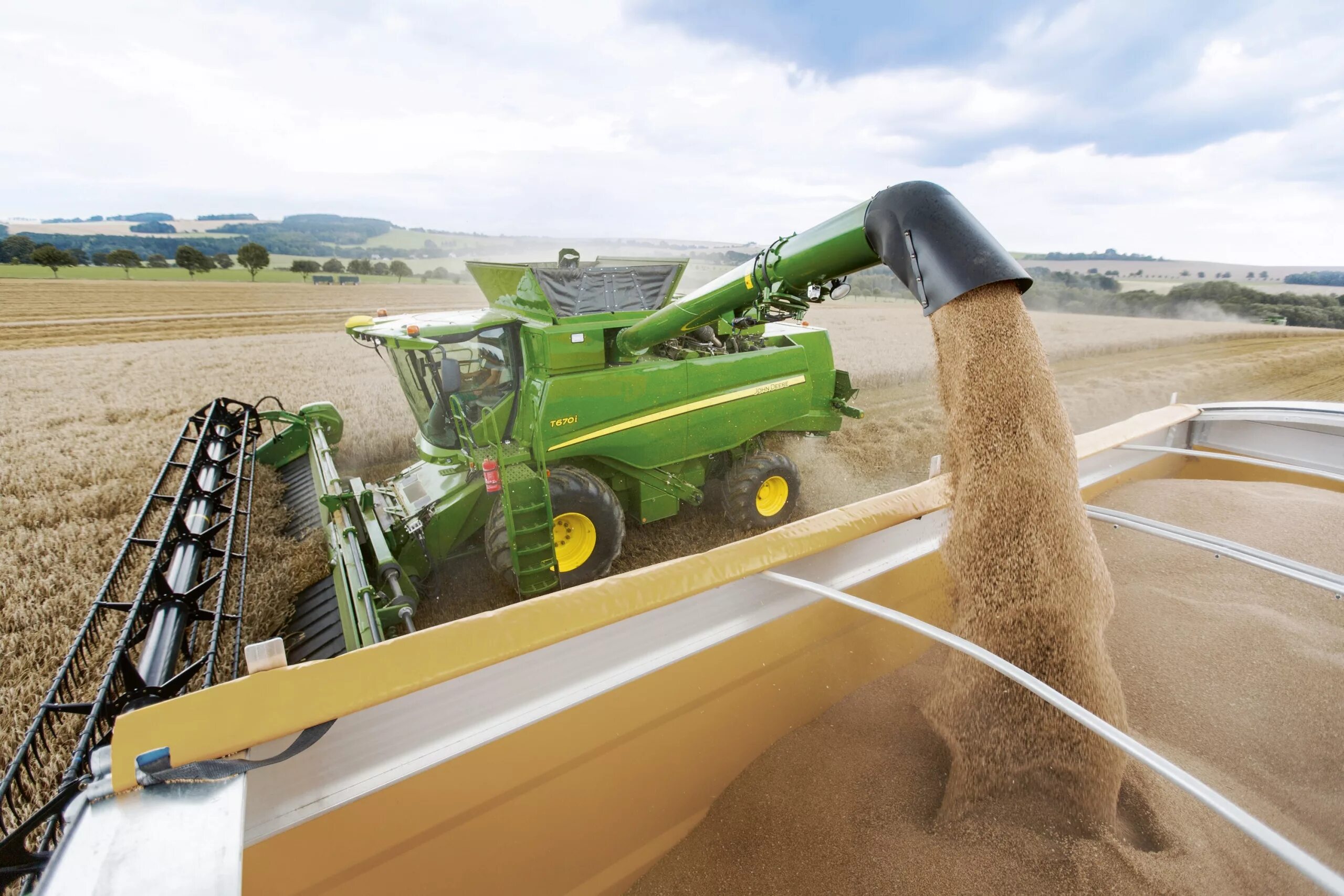 Маш пшеница. Комбайн джон дир на уборке пшеницы. Название зерна. Проростки пшеницы. Маш пшеница.