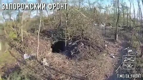 Работино запорожская сегодня область последние