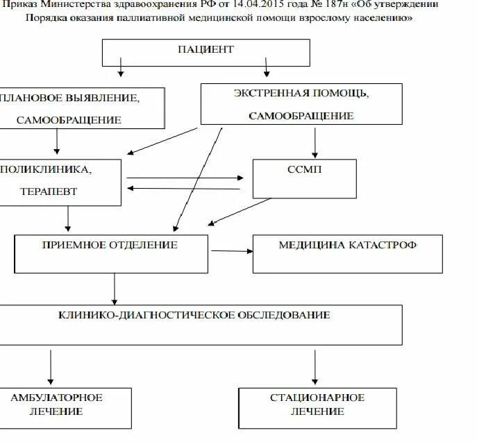 Маршрутизация медицинской помощи. Маршрутизация стоматологических больных. Схема организации паллиативной помощи. Алгоритм оказания паллиативной помощи пациентам. Схема маршрутизации пациентов.