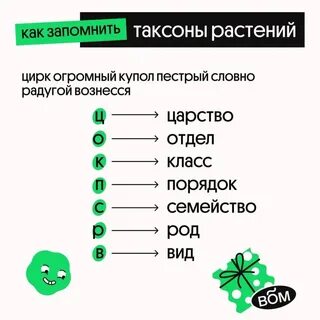 Выучить систематика растений