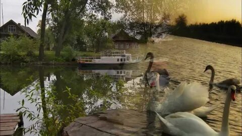 Песня ты не разлюбишь верила верила