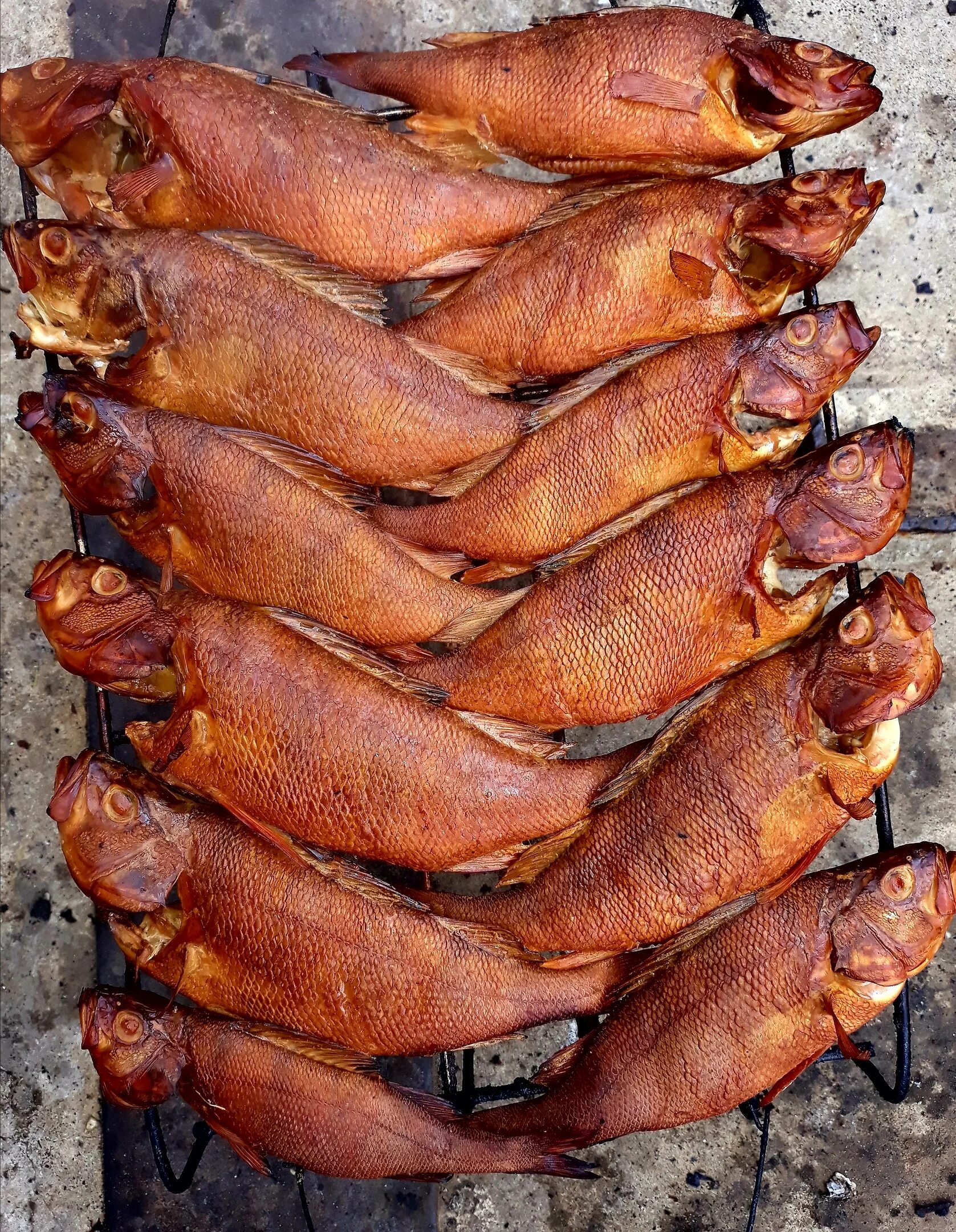 чебак копченый. омуль байкальский копченый. коптильня для рыбы. рыба горбуша горячего копчения. лещ хк.