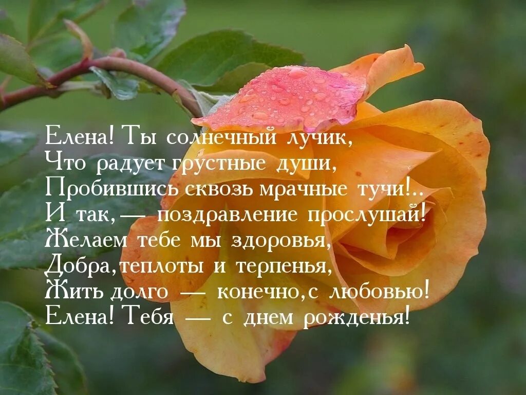 Поздравление в стихах женщине елене