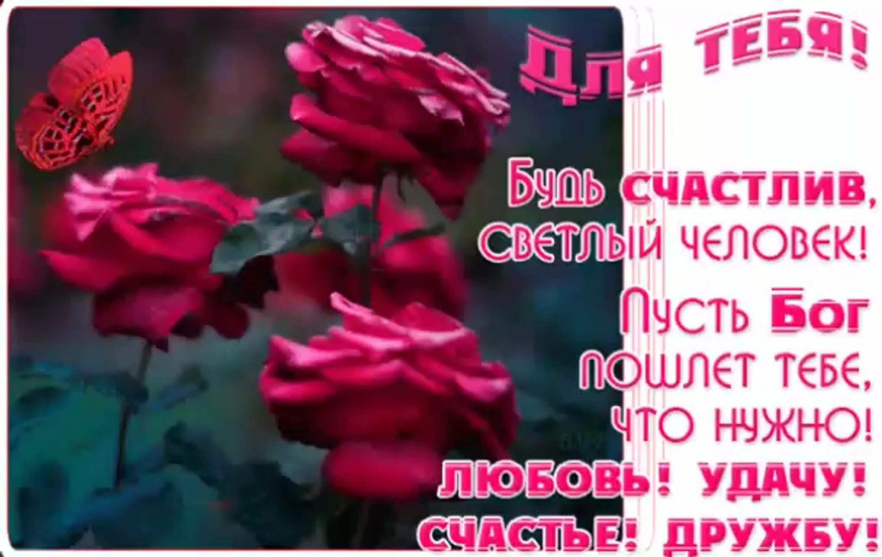 Пусть он меня любит