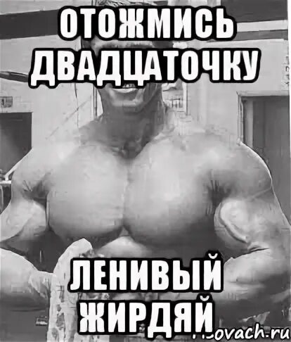 20 делай
