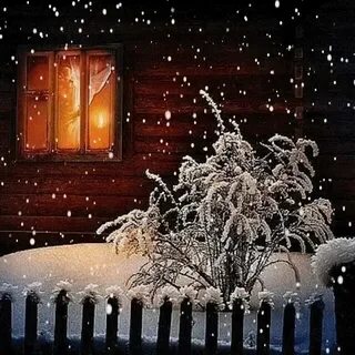 Света заснеженная