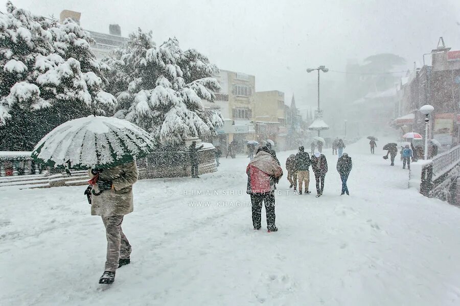 The weather was snowing. Шимла дождь. snowfall weather. шимла мороз. cold weather no snow.