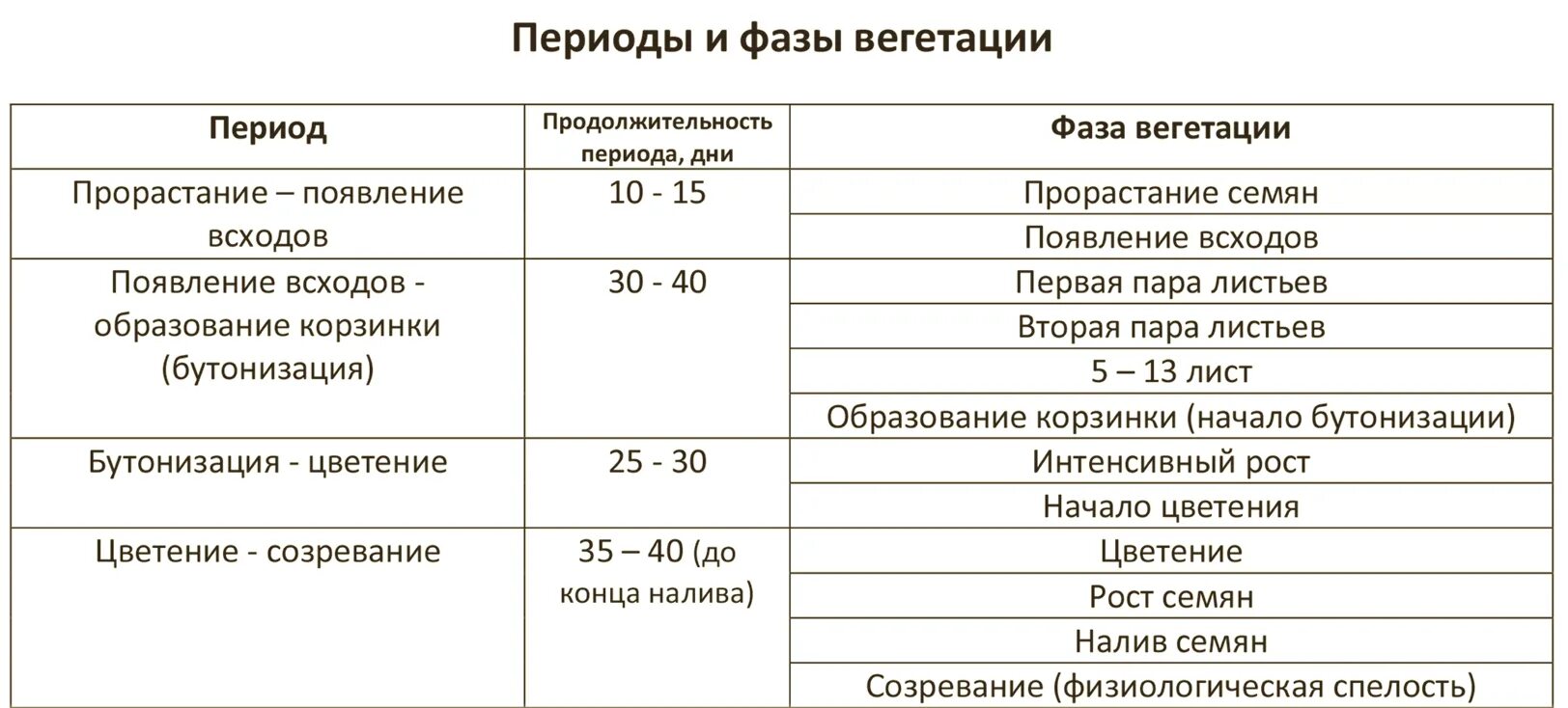 Вегетация растений что это простыми словами. Период вегетации. Период вегетации у растений что это. Фазы развития подсолнечника таблица. Вегетационный период подсолнечника.