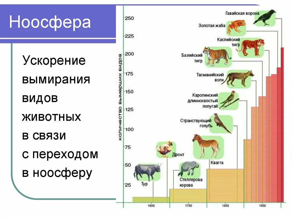 Количество общий видов животных. Численность видов животных. Числа в виде животных. График исчезновения видов животных. Диаграмма вымирания животных.