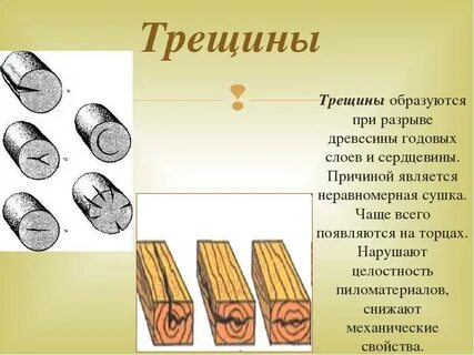 Какие пороки древесины распространены