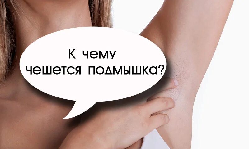 К чему чешется правая. Чешется левая подмышка примета. чешется подмышка примета. к чему чешется правая подмышка. к чему чешется подмышка левая у девушки примета.