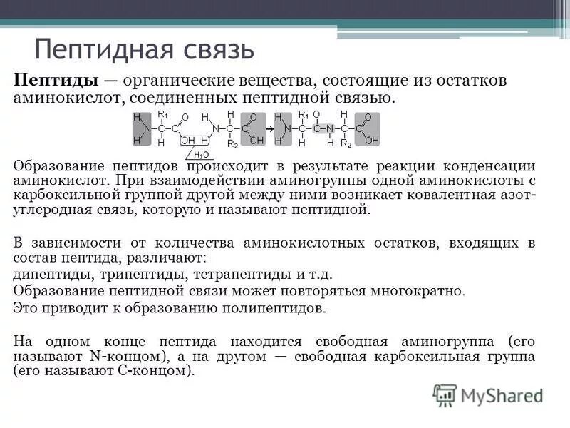 Образование пептидной связи трансляция. Пептиды образование строение. Свойства пептидной связи. Характеристика пептидов. Пептидная связь биохимия.