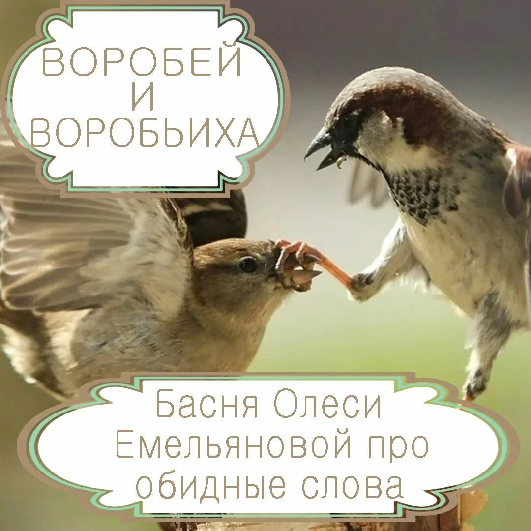 Слово не воробей вылетит не поймаешь. Непьющий воробей мультфильм 1960. Басня непьющий воробей сергей михалков. Раз горох два горох (1981). Басня воробей.