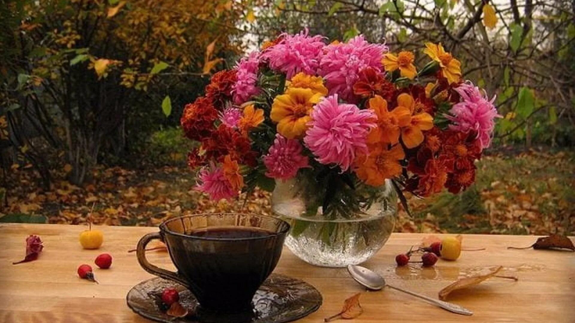 Доброе утро картинки осень. Осенний букет. Осенний натюрморт с цветами. Яркие осенние цветы. Чудесные осенние цветы.