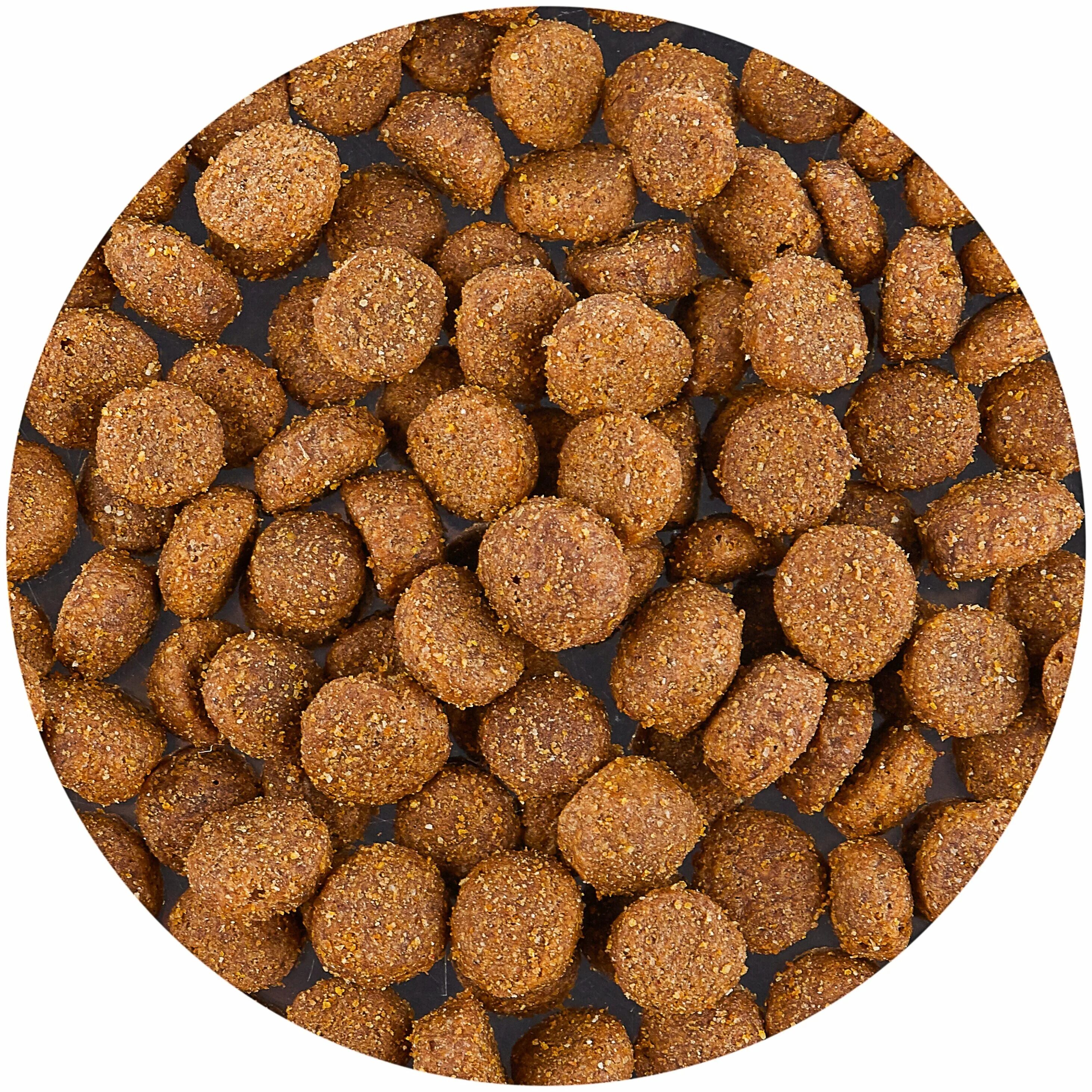 Миска с кормом. Сухой корм для собак гранулы. Корм чаппи 2. Сухой корм для собак. Сухой корм для животных.