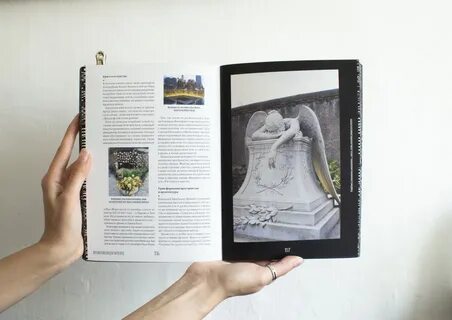 Книга визуальный гид по любви и дружбе
