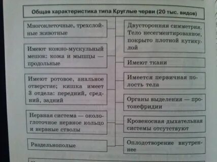 Таблица по биологии круглые черви