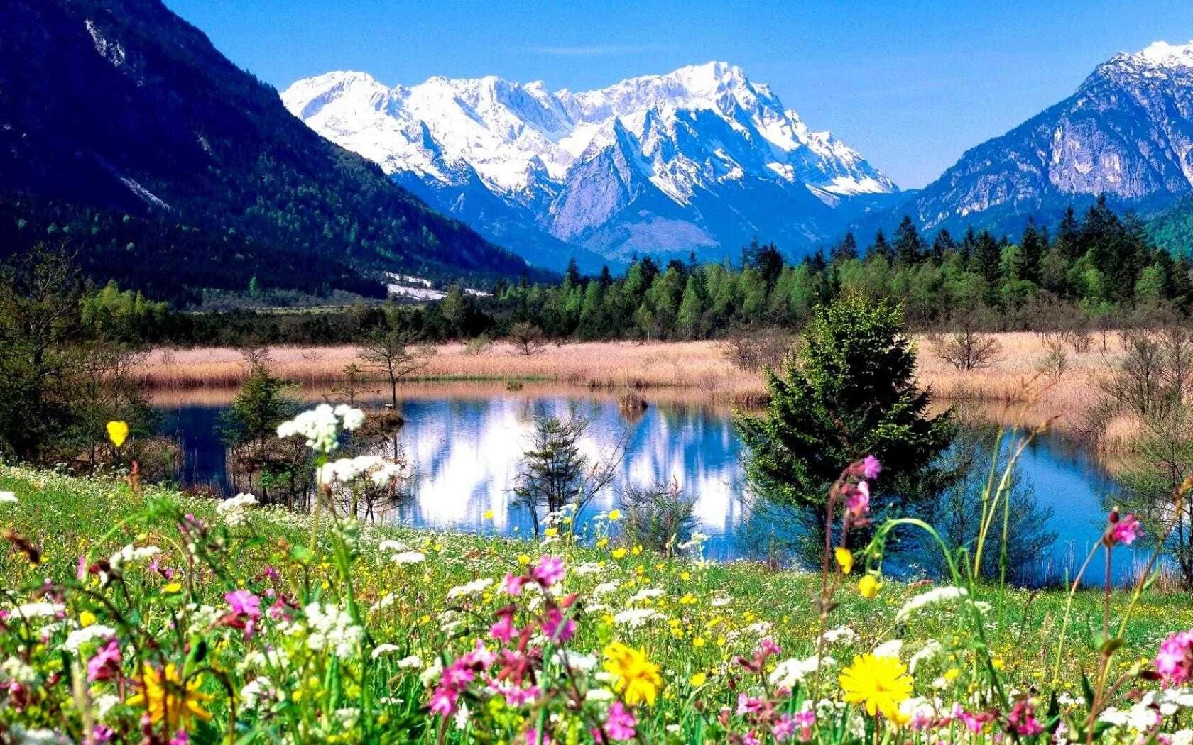 Nature is beauty. Горный Алтай Альпийские Луга. Альпийские Луга Германии. Альпийские Луга Андорра. Кузнецкий Алатау Альпийские Луга.