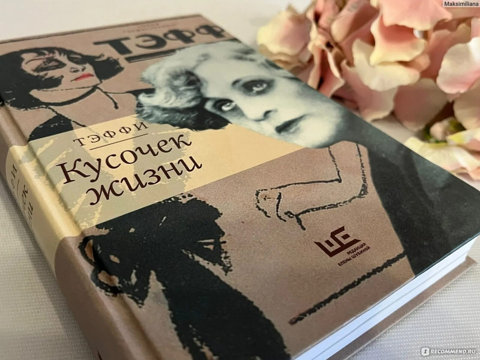 Тэффи ностальгия. Тэффи кусочек жизни. Тэффи книги. Конфеты Тэффи. Тэффи читать краткое