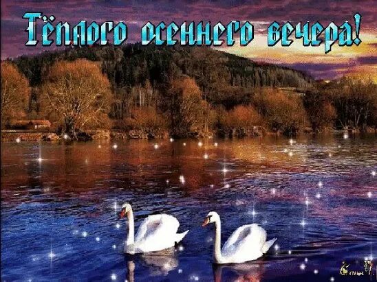 Открытки с добрым вечером красивые необычные. Отличного летнего вечера. Добрый вечер картинки пейзажи. Добрый вечер природа. Добрый вечер картинки пейзажи.