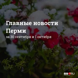 Главная присылайте