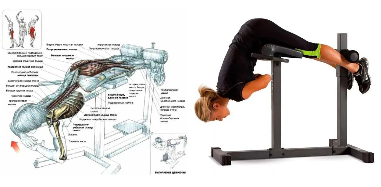 Тренажёр Обратная гиперэкстензия реверсивнаяgfz124. Гиперэкстензия для спины техника. Ягодичная гиперэкстензия техника. Гиперэкстензия техника выполнения для спины.