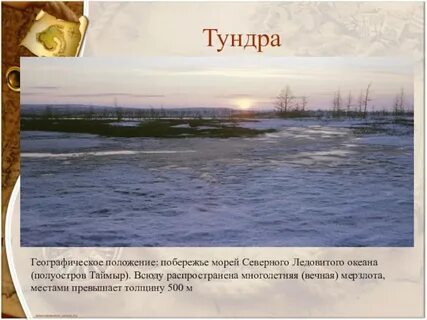 Тундра географическое
