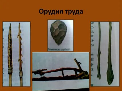 Природные орудия труда