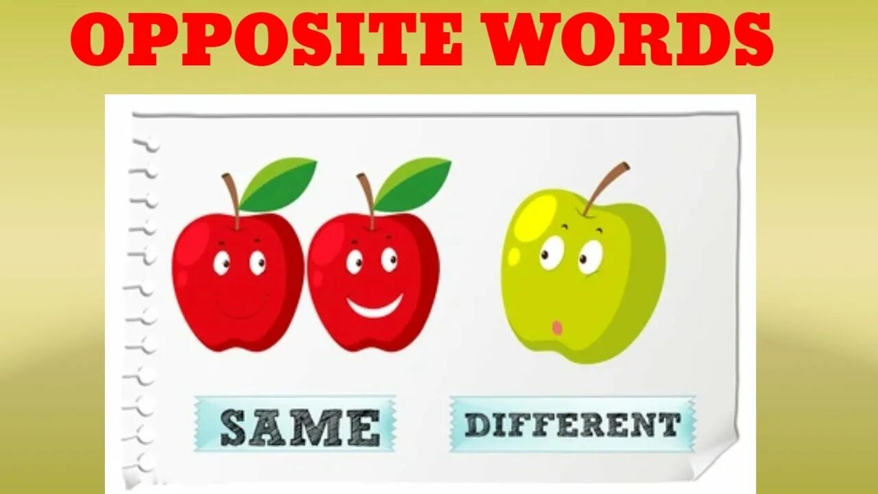 Same similar. Same different. Same different opposites. Same different Flashcards for Kids. Same or different for Kids.