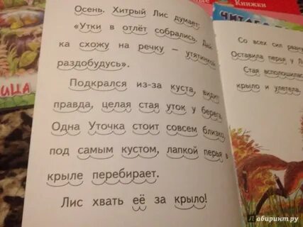 План текста хитрый лис и умная уточка
