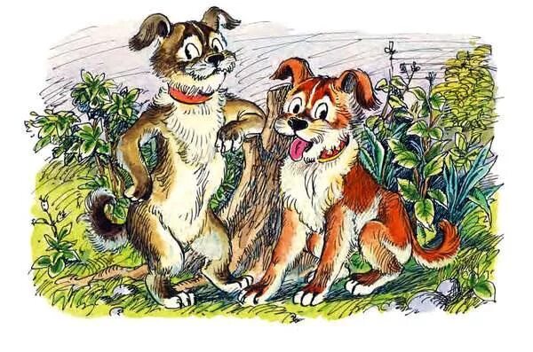 Как звали собаку в сказке о мертвой царевне и семи богатырях. Как звали собак в сказках. Как звали царевну из сказки о мертвой царевне и семи богатырях. Клички собак в сказках. Как звали собак в сказках.