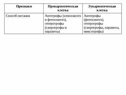 Особенности строения автотрофной клетки