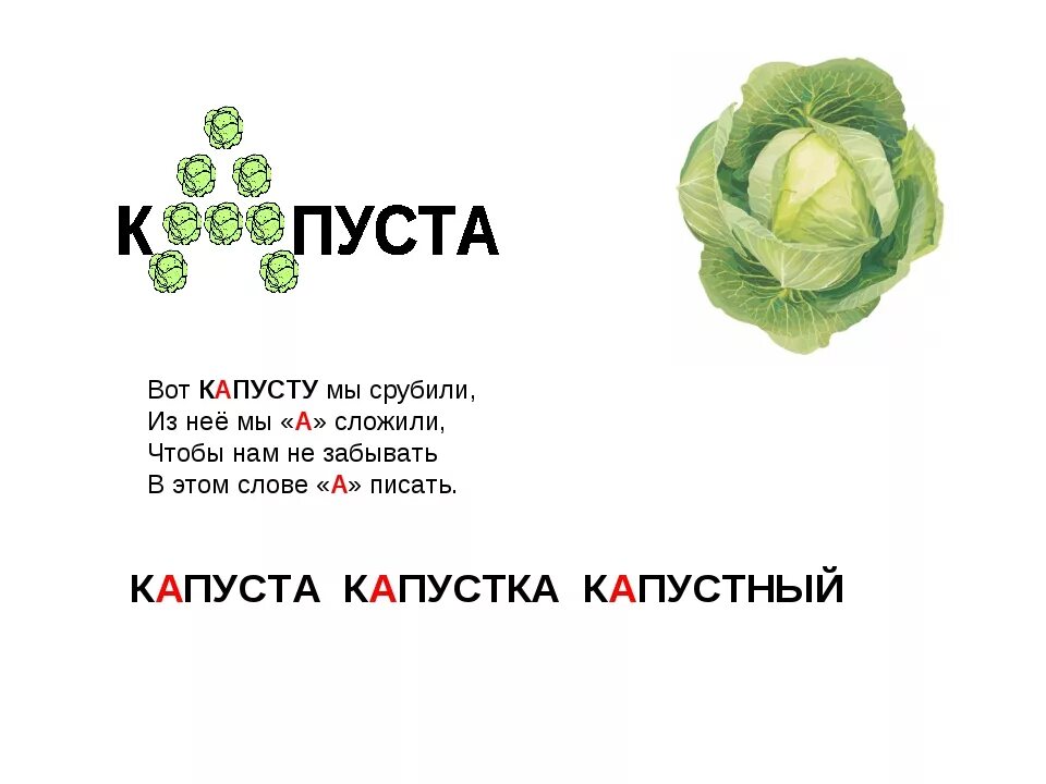 слова капуста составить предложение