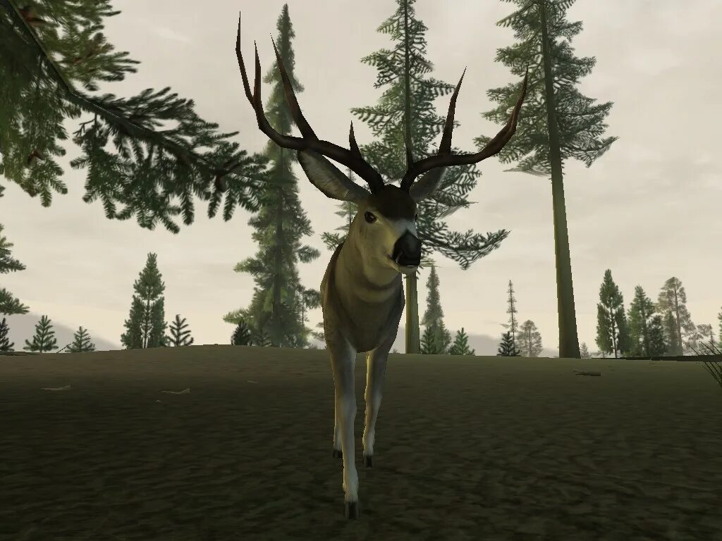 Deer Hunter игра. Игра охота 2005 Deer. Deer Hunter на ПК. Hunter 2005. Дир хантер